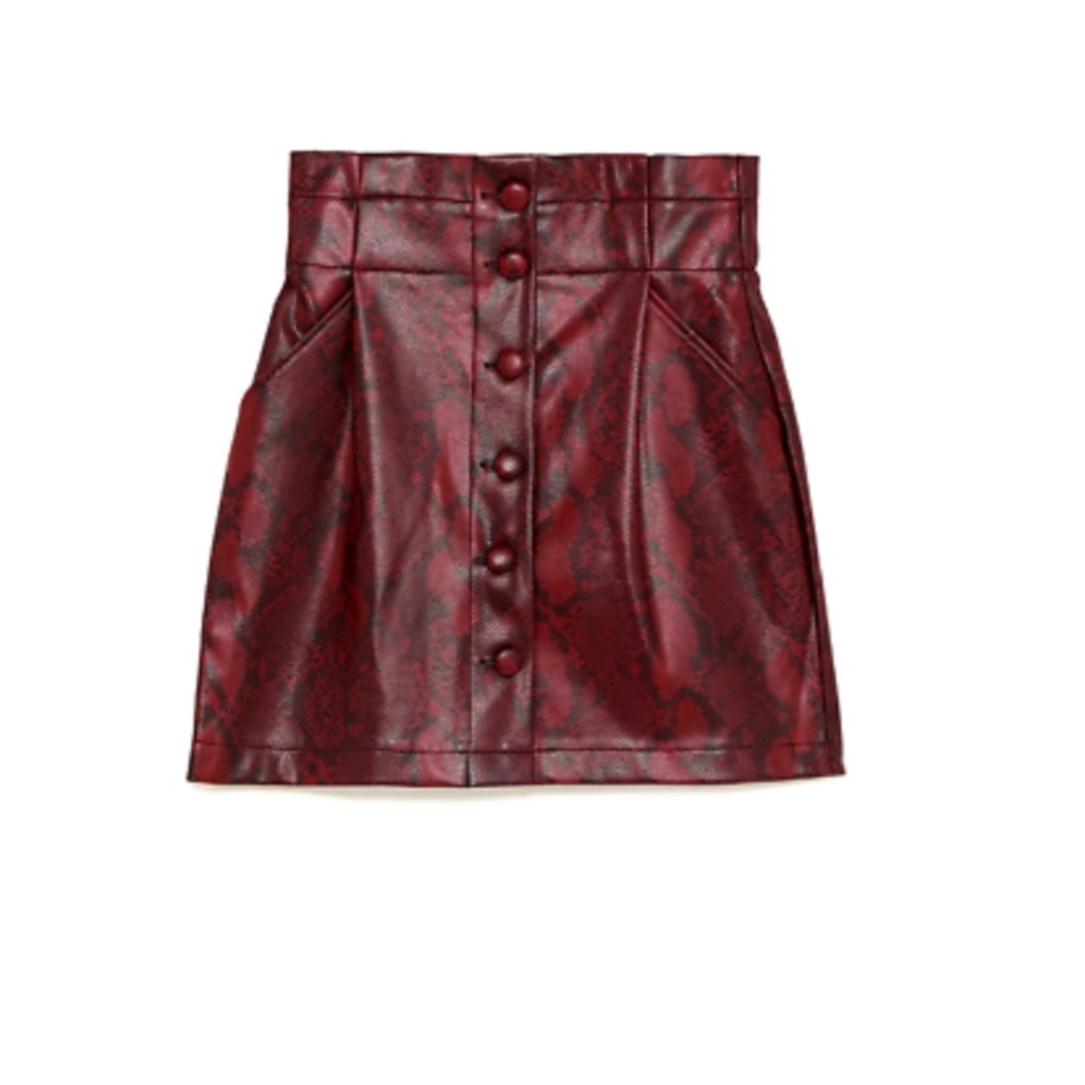 Zara Skirt